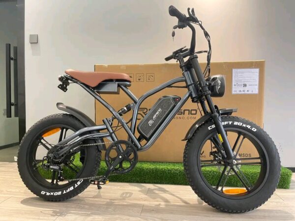 Electric bike wholesale